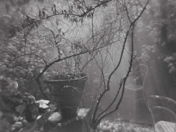 Josef Sudek, A Summer Shower in the Magic Garden, 1954–59.
