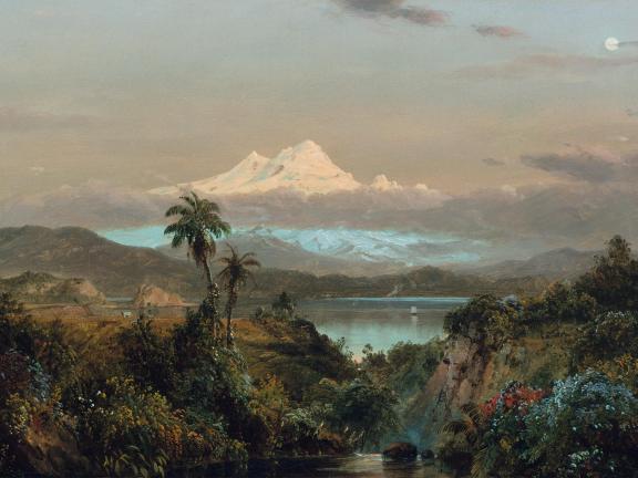 A landscape of a tropical forest with a snowcapped mountain in the hazy distance.