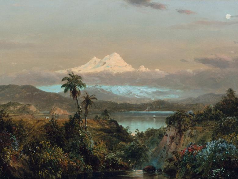 A landscape of a tropical forest with a snowcapped mountain in the hazy distance.