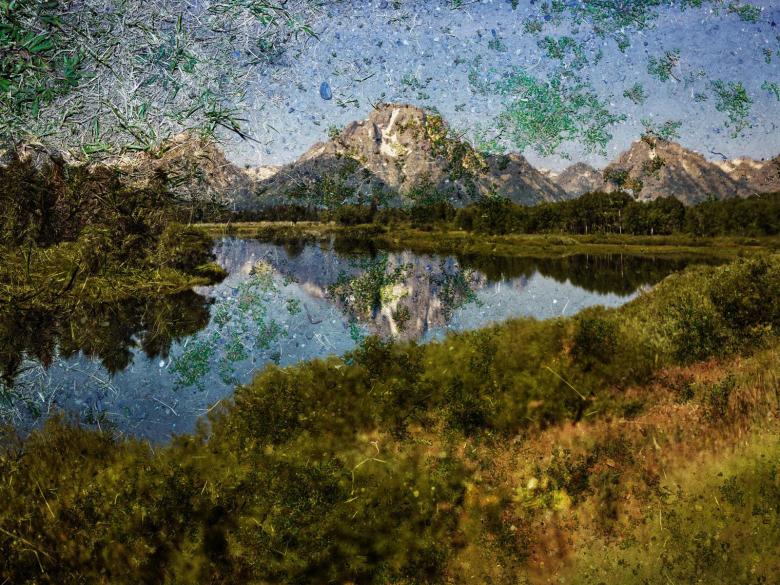 Abelardo Morell's print, Tent-Camera Image on Ground: View of Mount Moran and the Snake River from Oxbow Bend, Grand Teton National Park