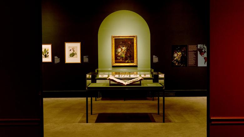 Display case with large open book inside, positioned in front of still life painting of flower arrangement in Rachel Ruysch exhibition