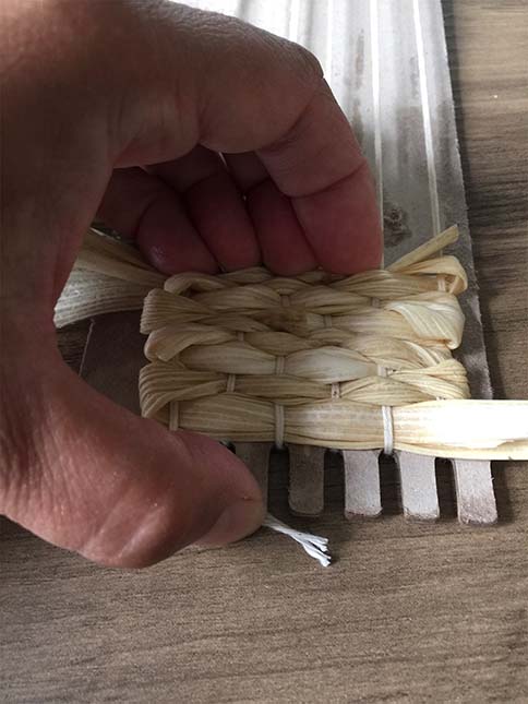 pressing corn husk rows down with fingers