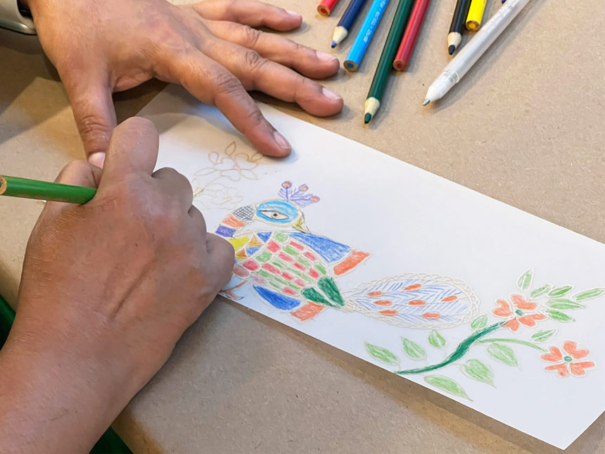 drawing other details, like plants, around peacock