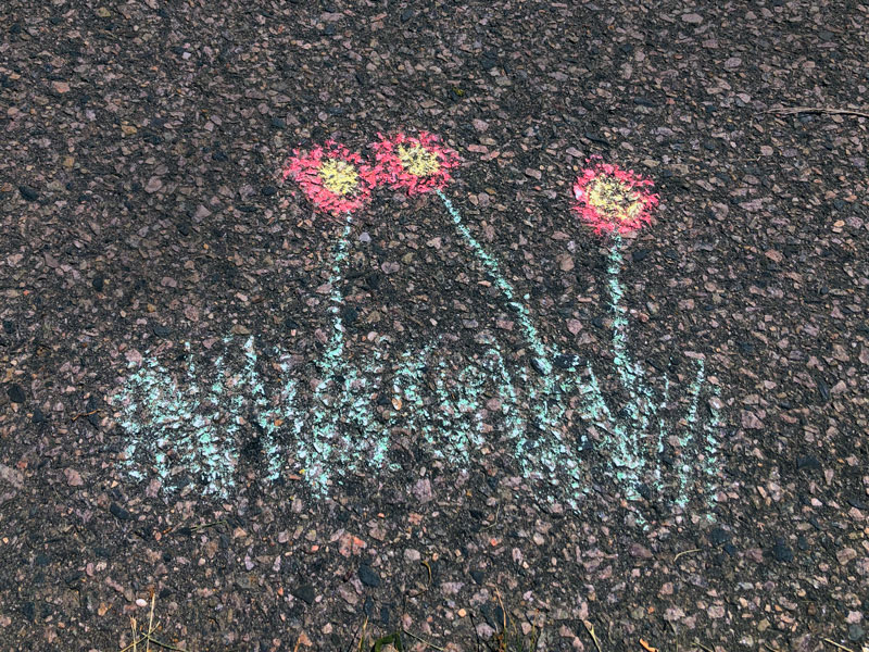 chalk drawing of red flowers with yellow centers and grass on asphalt