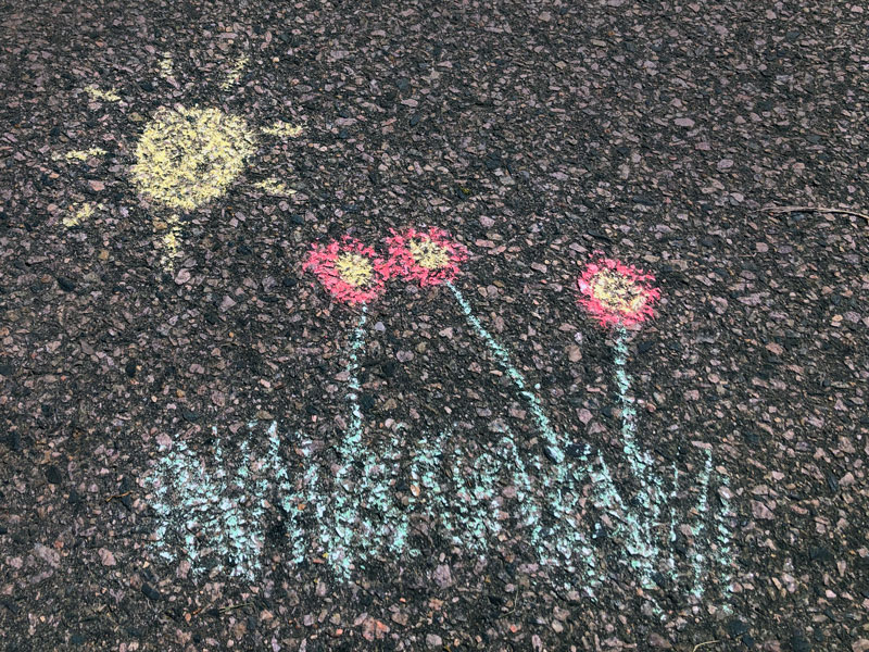 chalk drawing of sun shining down on red flowers and grass