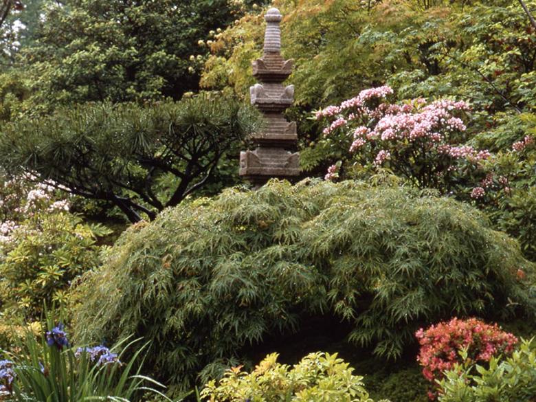 View of Japanese Garden with stone sculpture towering over shrubs