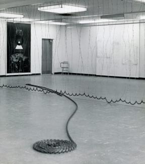 A cord travels across a floor and ends in a coiled circle. 