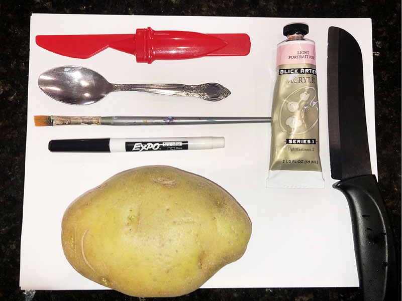 various items laid out on table; objects include knife, marker, paintbrush, potato, spoon, and tube of paint
