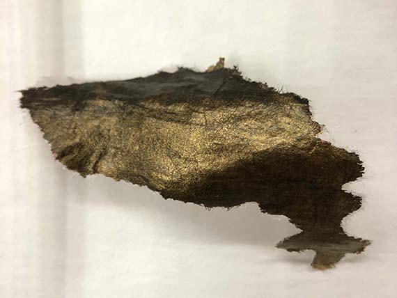 Paper fill for the Lion Rampant maintaining its molded shape when dry