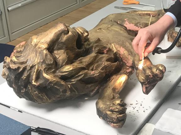 Examination of the Lion Rampant