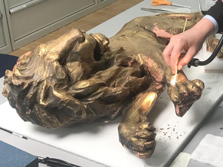 Examination of the Lion Rampant