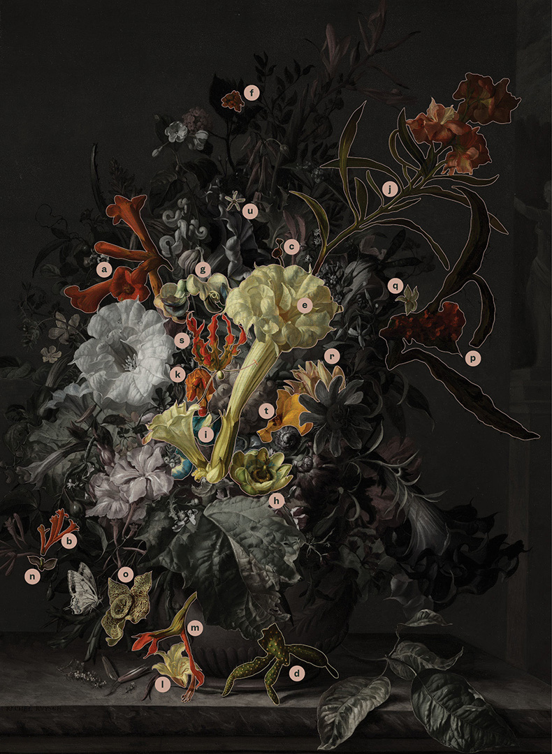 still life painting of flower arrangement with various flowers labeled with letter