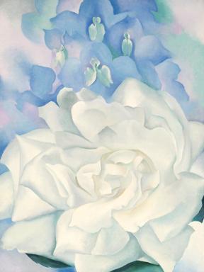 Painting of a large white rose with larkspurs in background