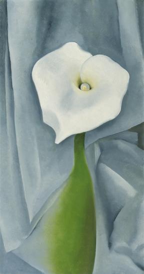 Georgia O'Keeffe, Calla Lily on Gret, 1928