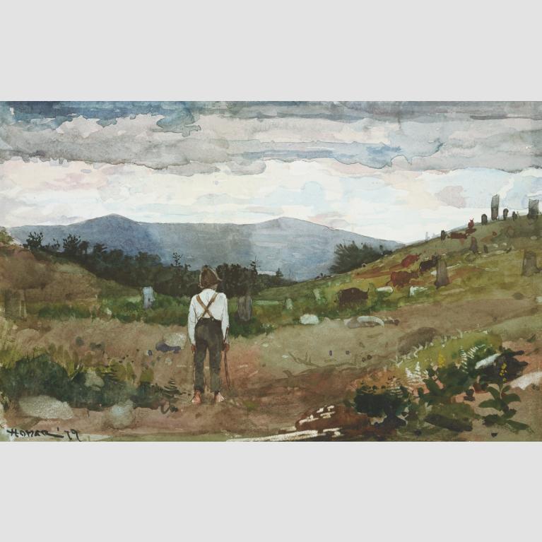 A boy stands with his back to the viewer looking out at cows grazing in a pasture.