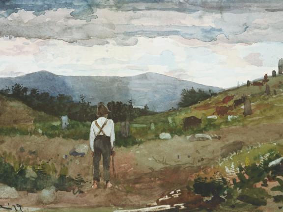 A boy stands with his back to the viewer looking out at cows grazing in a pasture.