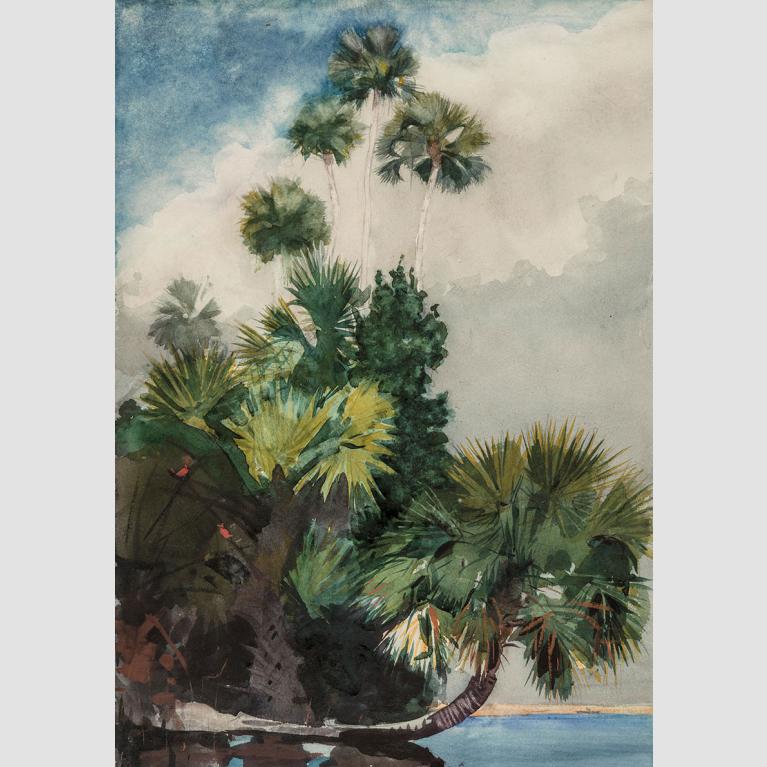 Winslow Homer, Palm Trees, Florida, 1904. 