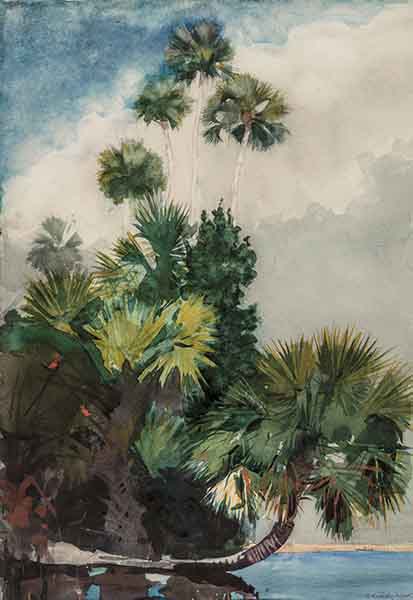 A bunch of palm trees rise high over calm waters beneath a cloudy sky.