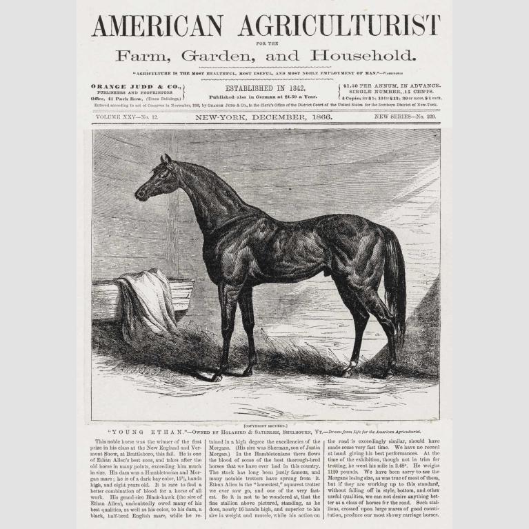 Reduced reproduction of the title page of the December 1866 issue of "American Agriculturist for the Farm, Garden, and Household" featuring a horse in a barn.