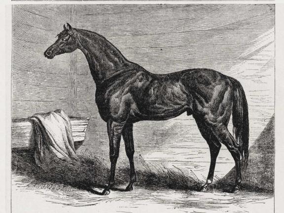 Reduced reproduction of the title page of the December 1866 issue of "American Agriculturist for the Farm, Garden, and Household" featuring a horse in a barn.