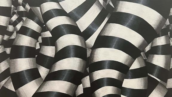 A mass of tangled black-and-white striped tentacle-like structures. 