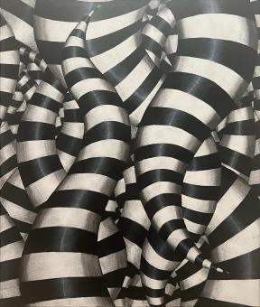 A mass of tangled black-and-white striped tentacle-like structures. 