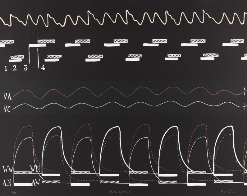 A black graph with white and red letters and wavelengths. 