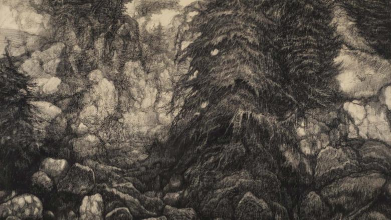 A charcoal drawing of tall evergreen trees growing out of large rocks and stretching into clouds.