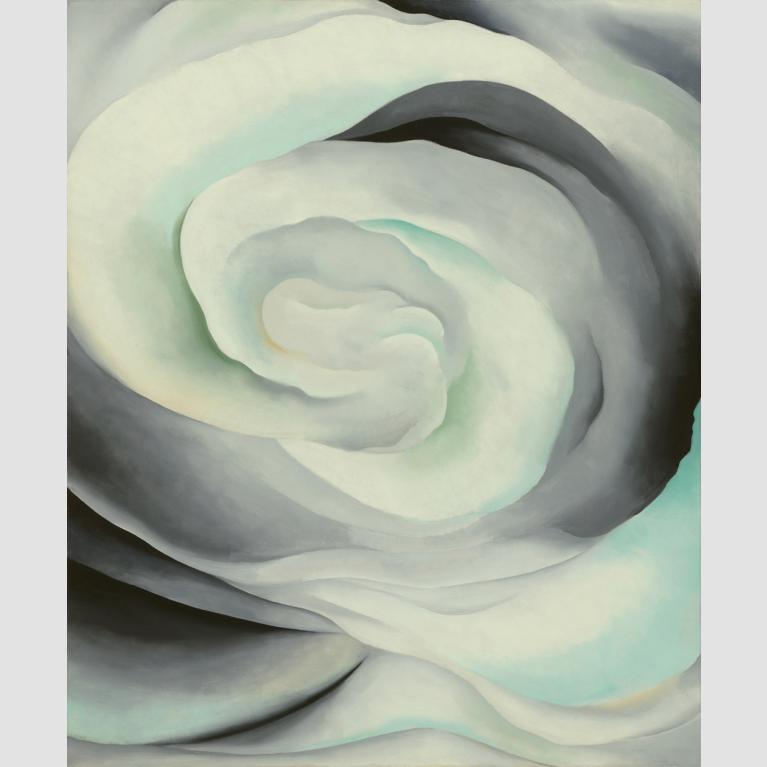 Abstraction White Rose
