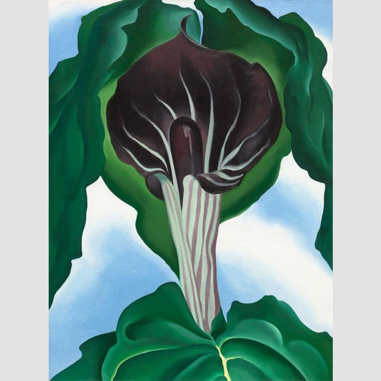 Georgia O'Keeffe painting depicting tall, dark, purplish flower surrounded by green leaves on a blue sky background