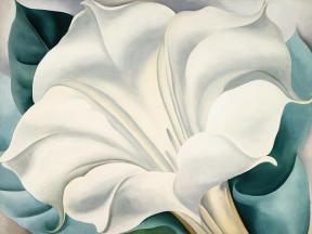 Georgia O'Keeffe (American, 1887–1986) The White Flower (White Trumpet Flower) 1932
