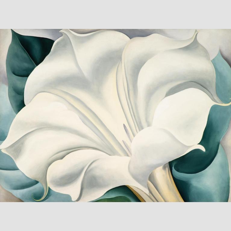 Georgia O'Keeffe (American, 1887–1986) The White Flower (White Trumpet Flower) 1932