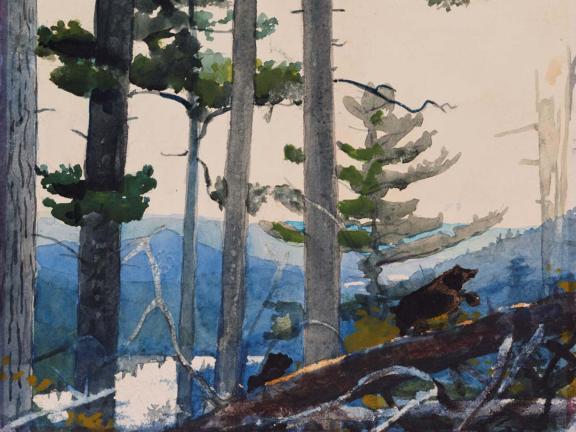 Winslow Homer, Old Settlers, 1892.