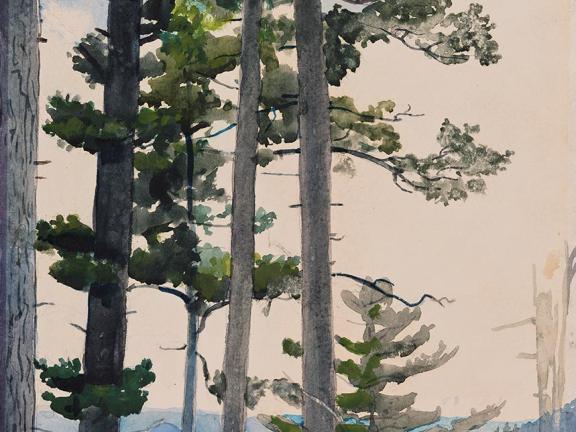 Winslow Homer, Old Settlers, 1892. 