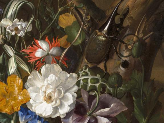 Rachel Ruysch, Forest Recess with Flowers (detail), about 1686. 