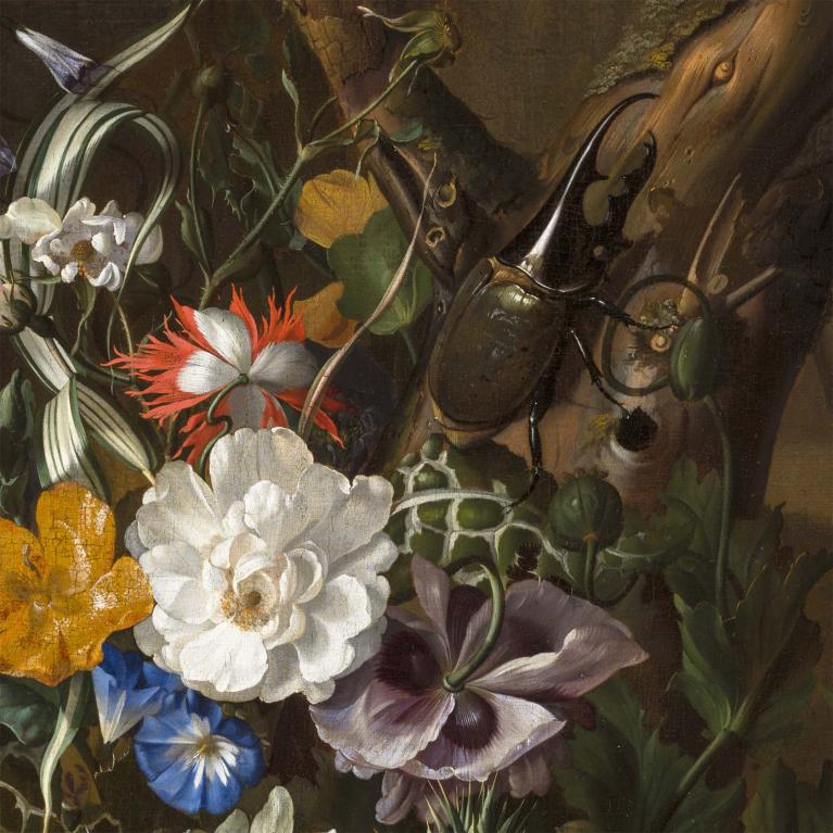 Rachel Ruysch, Forest Recess with Flowers (detail), about 1686. 