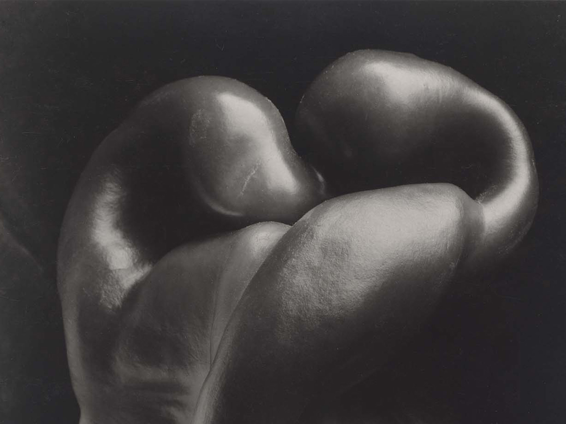 Black and white photograph of the bulbous shape and deep grooves of a pepper, appearing almost as an abstract object