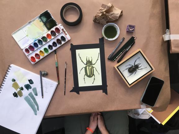 Overhead view of art supplies and beetle rendered in watercolor